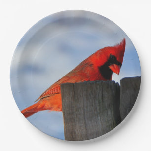 Assiettes En Carton Cardinal rouge sur la souche en bois