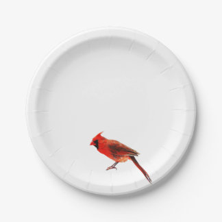 Assiettes En Carton Cardinal(s)