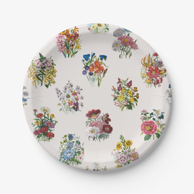 Assiettes En Carton Carnaval des fleurs (Devant)