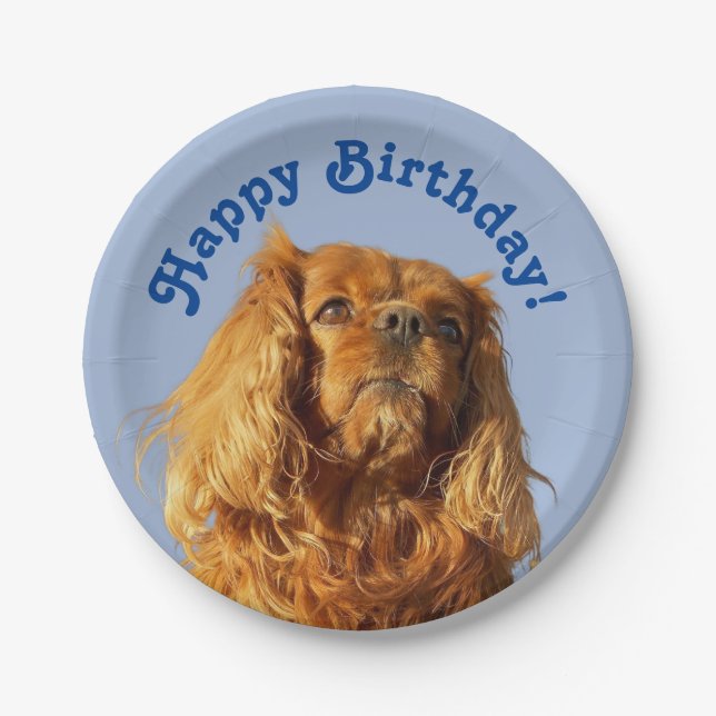 Assiettes En Carton Cavalier King Charles Spaniel Chien Chien Chien Ch (Devant)