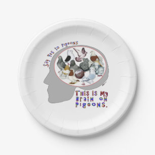 Assiettes En Carton Cerveau Sur Les Pigeons