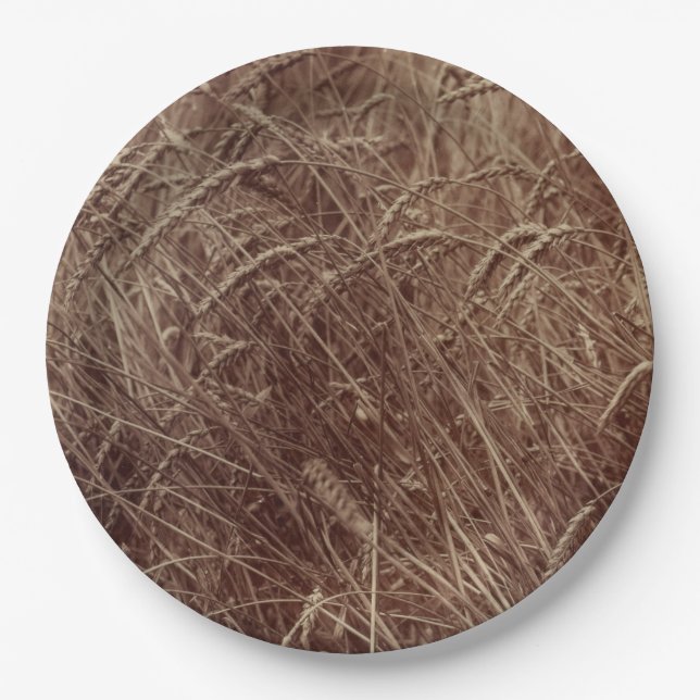 Assiettes En Carton Champ de blé (par Eugène Atget) (Devant)