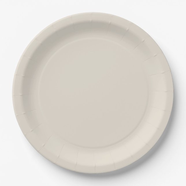 Assiettes En Carton Champagne (Devant)