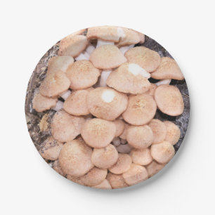 Assiettes En Carton champignons sans sonnette sur une plaque de papier