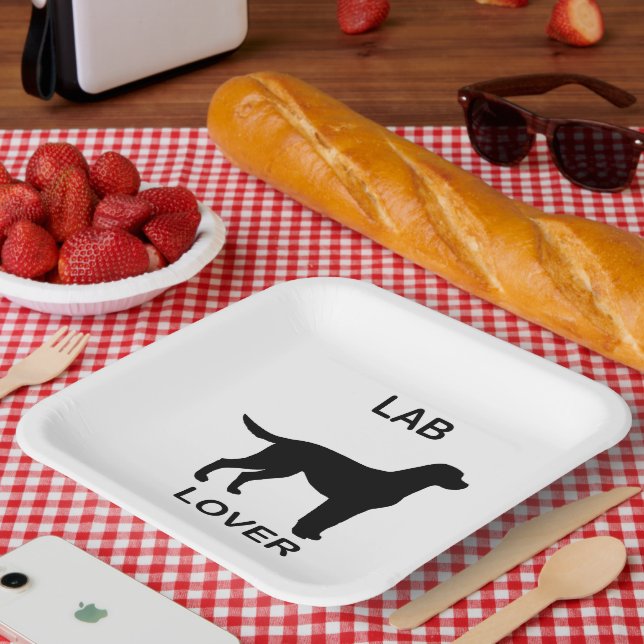 Assiettes En Carton changement de laboratoire (Pique-nique)