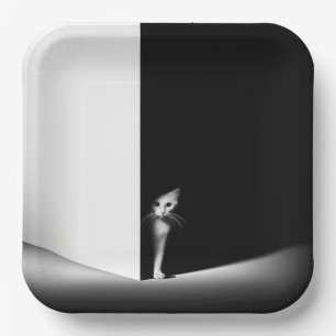 Assiettes En Carton Chat Blanc Dans Les Ombres Noires