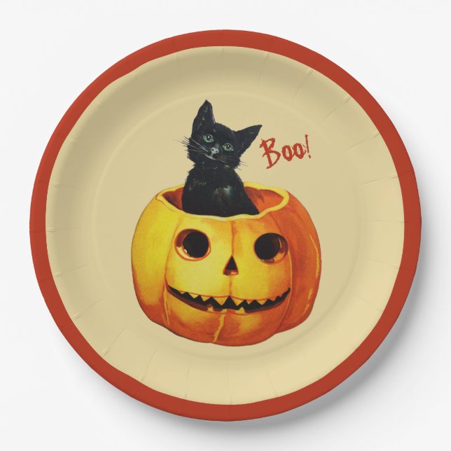 Assiettes En Carton Chat en Plaques Citrouilles Halloween (Devant)