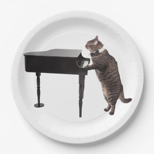 Assiettes En Carton Chat Jouer Piano (Devant)