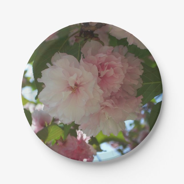 Assiettes En Carton Cherry Tree I Spring Floral (Devant)