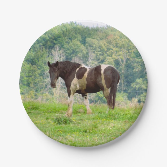Assiettes En Carton Cheval peint américain dans un champ (Devant)