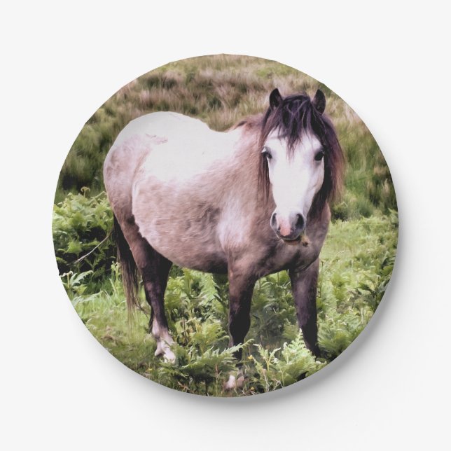 ASSIETTES EN CARTON CHEVAUX (Devant)