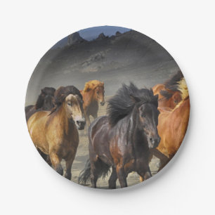 Assiettes En Carton Chevaux sauvages