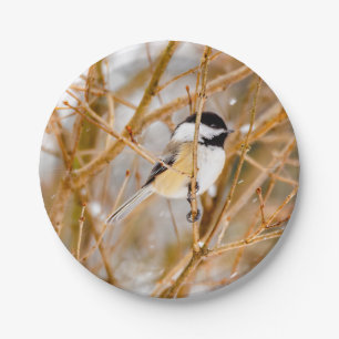 Assiettes En Carton Chickadee au plafond noir - Photo originale