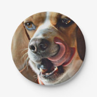 Chien de chasse affamé drôle de beagle