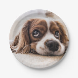 Assiettes En Carton Chien Espagnol Coqueur Triste
