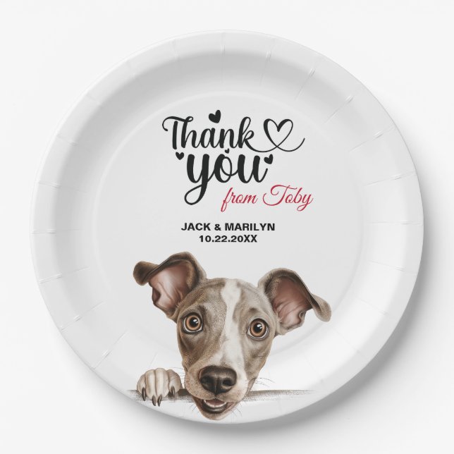 Assiettes En Carton Chien gris italien (Devant)