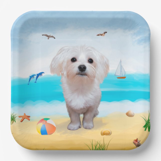 Assiettes En Carton Chien maltais sur la plage (Recto)