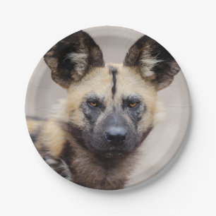 Assiettes En Carton Chien sauvage africain (Chien peint)