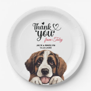 Assiettes En Carton Chien St. Bernard