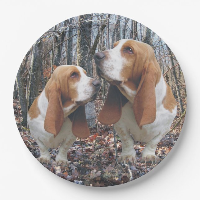 Assiettes En Carton Chiens de basset de région boisée (Devant)
