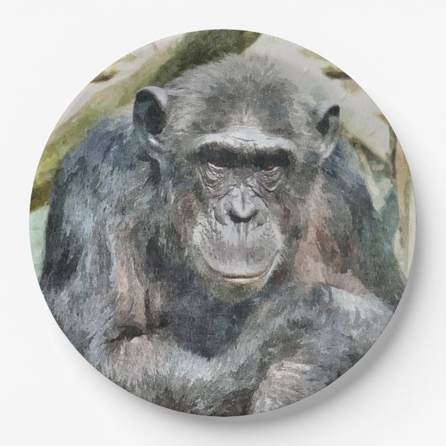 ASSIETTES EN CARTON CHIMPANZEE CUTE (Devant)