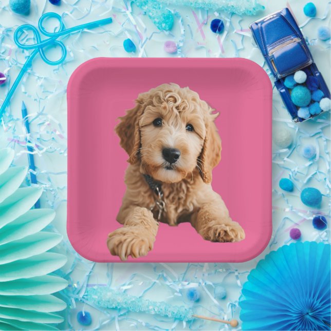 Assiettes En Carton Chiot de Doodle Doré (Fête)