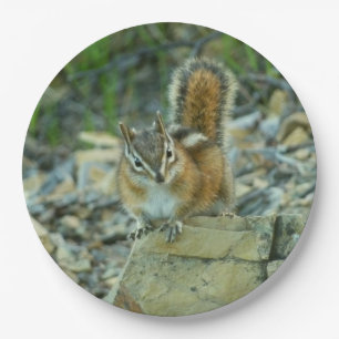 Assiettes En Carton Chipmunk dans le parc national des Glaciers