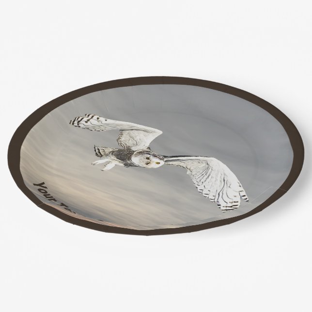 Assiettes En Carton Chouette des neiges (Angle)