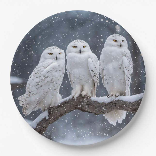 Assiettes En Carton Chouettes neigeuses de Noël (Devant)