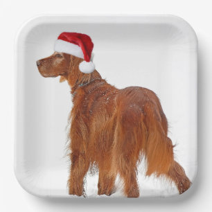 Assiettes En Carton Christmas Irish Setter