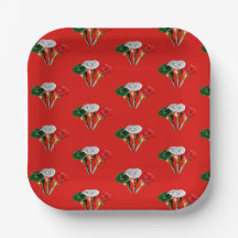 Cinco de mayo, fiesta plaque mexicaine papier