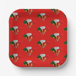 Assiettes En Carton Cinco de mayo, fiesta plaque mexicaine papier