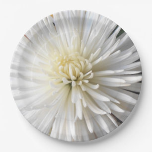 Assiettes En Carton Claricia
