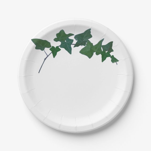 Assiettes En Carton Classique Vert Anglais Ivy (Devant)