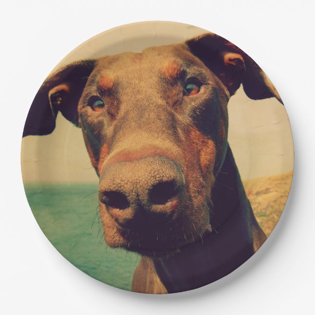 Assiettes En Carton Closeudo drôle d'un chien Doberman naturel (Devant)