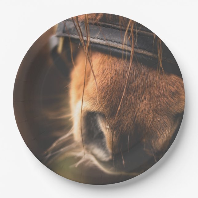 Assiettes En Carton Closeudo d'un mignon cheval Brown nez (Devant)