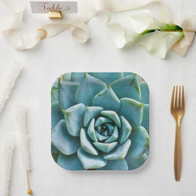 Assiettes En Carton Closeup Succulent (Mariage)