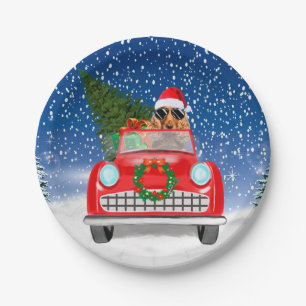 Assiettes En Carton Cocker Spaniel Chien Conduite Voiture En Noël De N