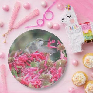 Assiettes En Carton Colibri et photo de fleurs de rose