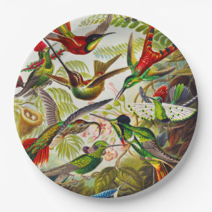 Assiettes En Carton Colibri Vintage par Ernst Haeckel