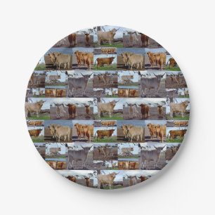 Assiettes En Carton Collage photo de la vache Highland, Plaques en pap