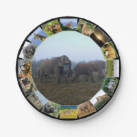Collage photo faune africaine Herd Herd Mist