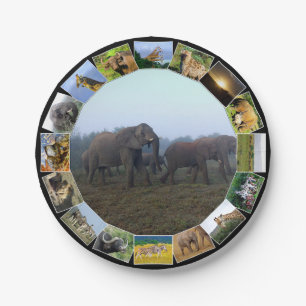 Assiettes En Carton Collage photo faune africaine Herd Herd Mist
