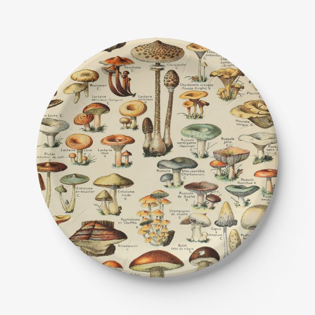 Assiettes En Carton Collection de champignons  (Devant)