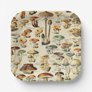 Assiettes En Carton Collection de champignons 