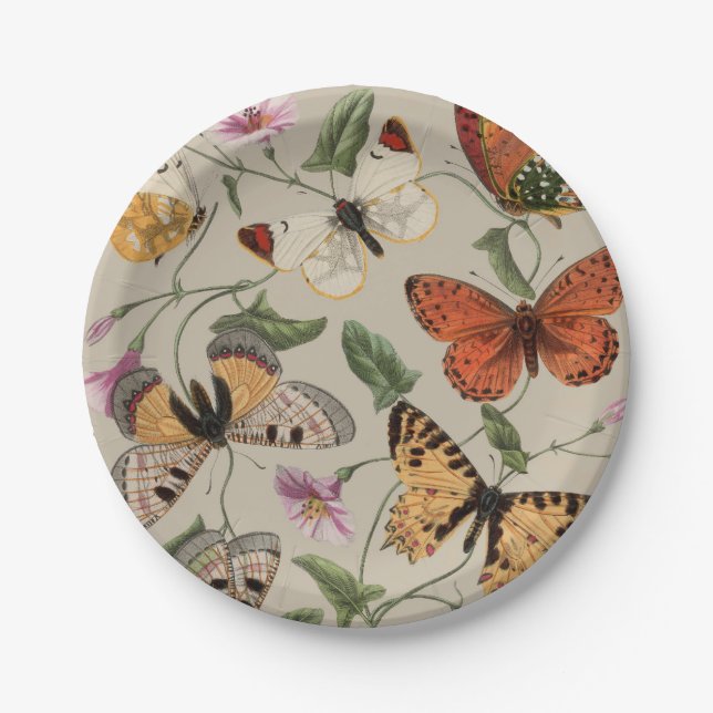 Assiettes En Carton Collection de la papillon Moth Nature Dessin (Devant)