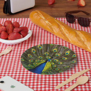 Assiettes En Carton Colorful peacock