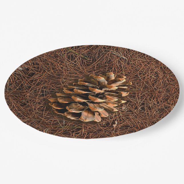 Assiettes En Carton Cône De Pin Sur Aiguilles Tombées (Angle)