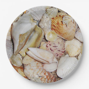 Assiettes En Carton Coques de mer