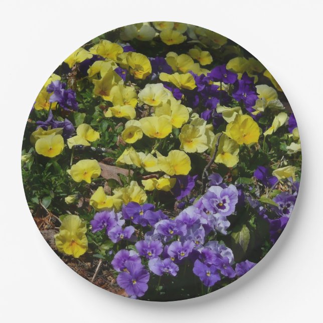 Assiettes En Carton Coteau de panneaux violets et jaunes (Devant)